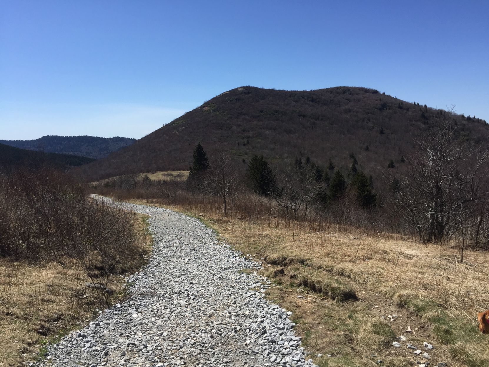 Improve trail to Sam Knob